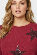 Plus Size Crew Neck Long Sleeve Star Print Soft Textured Sweater